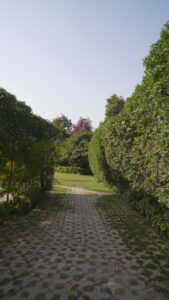 Copy of KS_1238T01