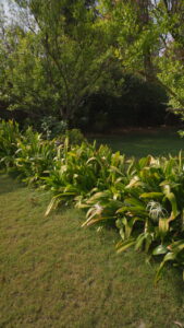 Copy of KS_1249T01
